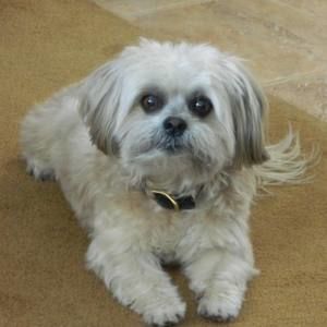 Meet your Posher, Betty